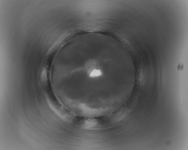 X0000112830214200908211224