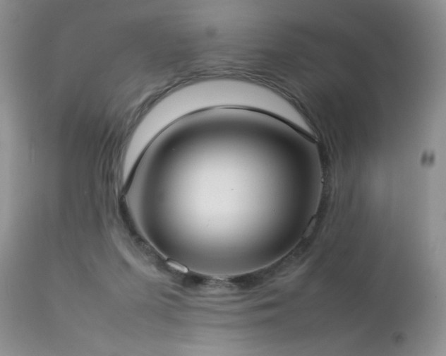 X0000112830215200908211224