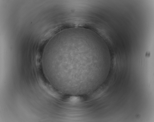 X0000112830218200908211224