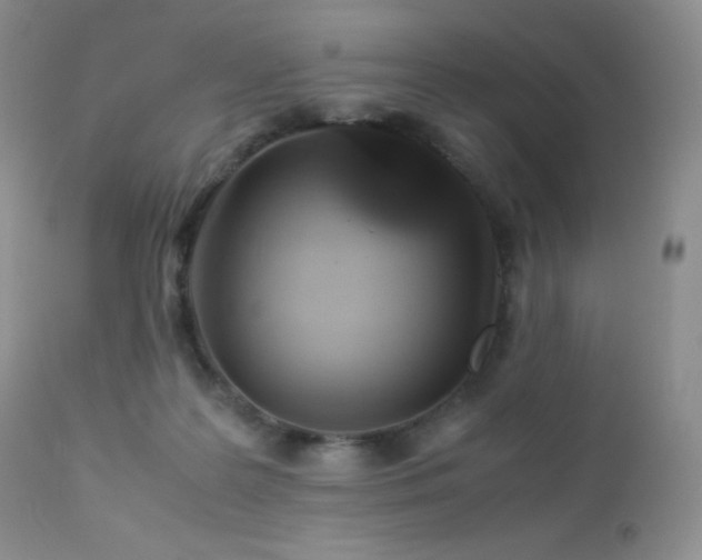 X0000112830219200908211224