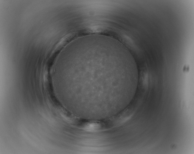 X0000112830220200908211224