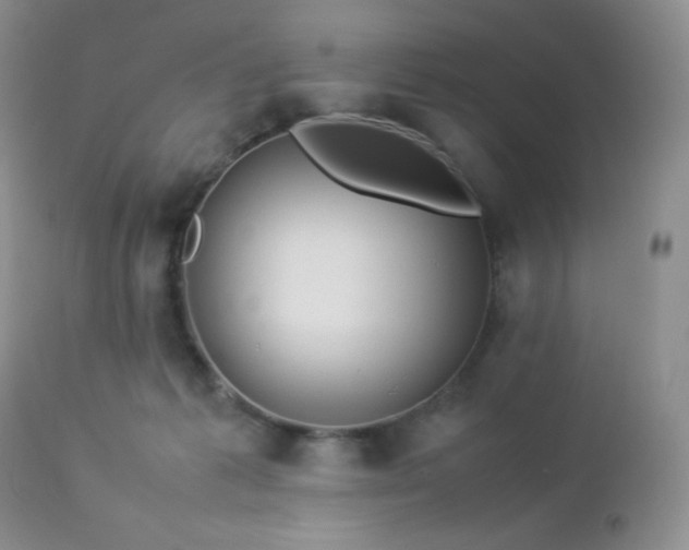 X0000112830221200908211224