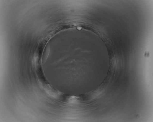 X0000112830222200908211224