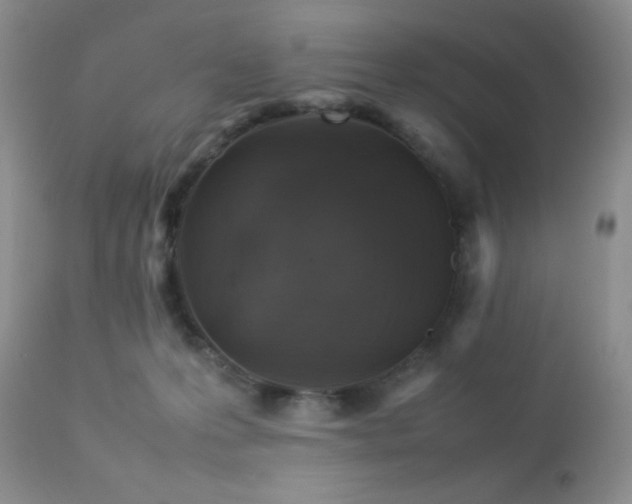 X0000112830223200908211224