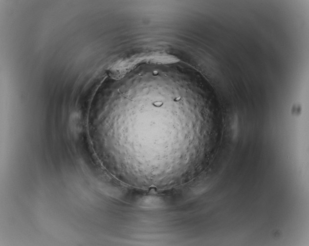 X0000112830224200908211224