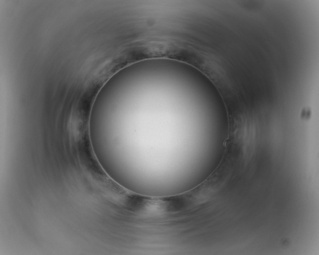 X0000112830226200908211224