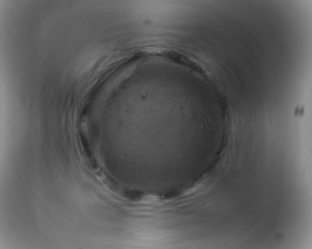 X0000112830227200908211224