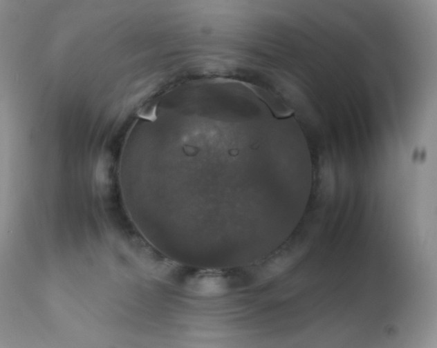 X0000112830228200908211224