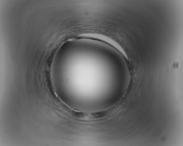 X0000112830229200908211224