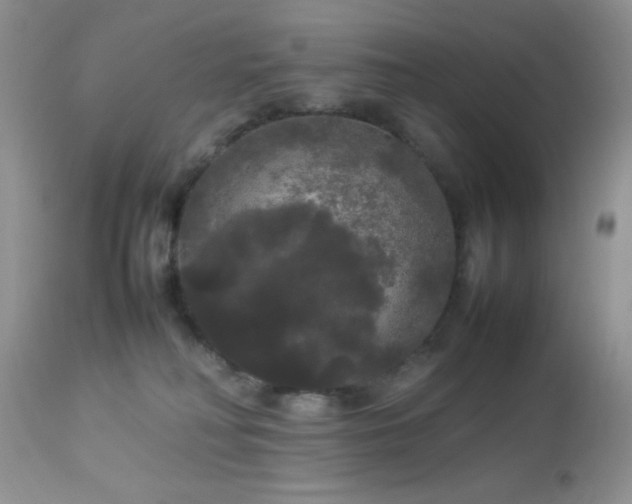 X0000112830230200908211224