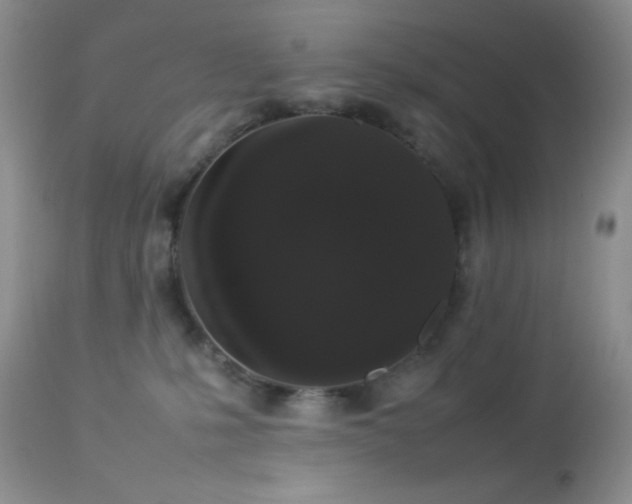 X0000112830231200908211224