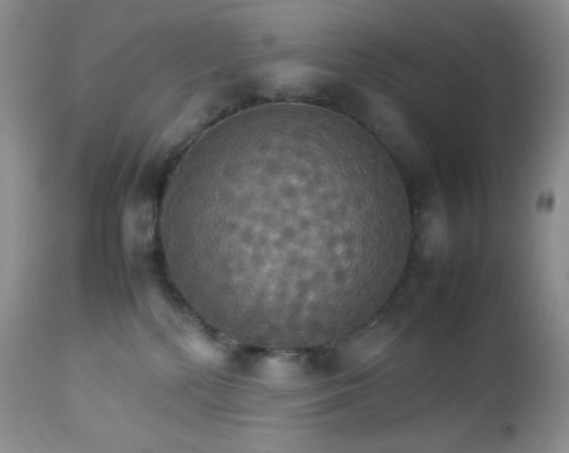 X0000112830232200908211224