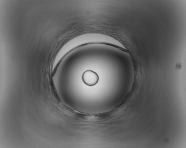 X0000112830233200908211224