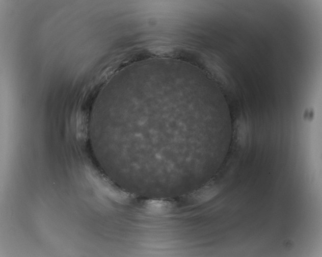 X0000112830234200908211224