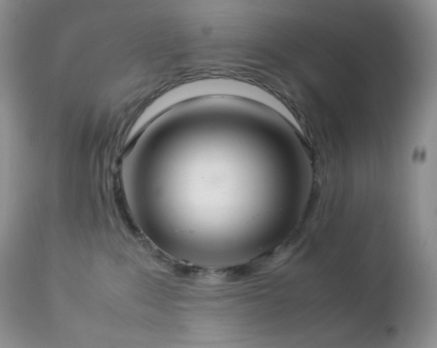 X0000112830235200908211224