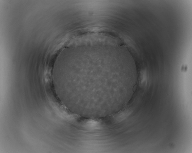 X0000112830236200908211224