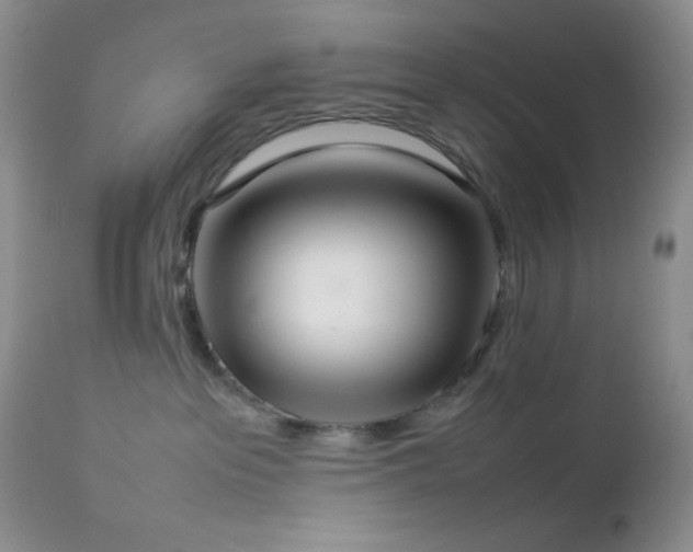 X0000112830237200908211224