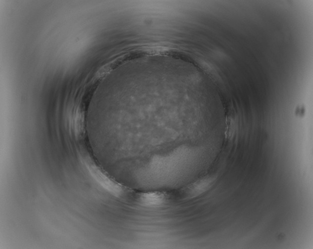 X0000112830238200908211224