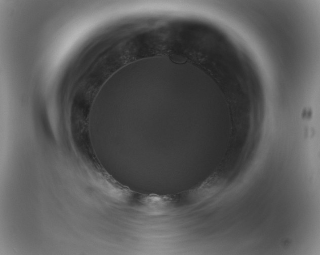 X0000112830239200908211224