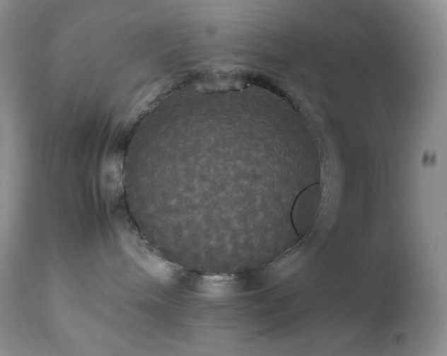 X0000112830240200908211224