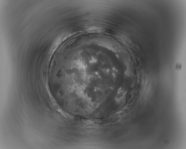 X0000112830241200908211223