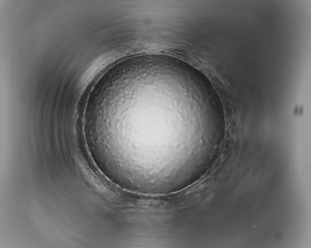 X0000112830242200908211223