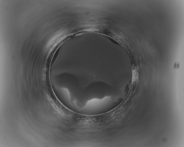 X0000112830243200908211223