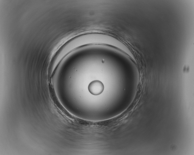 X0000112830244200908211223