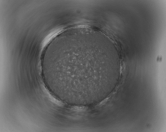 X0000112830245200908211223