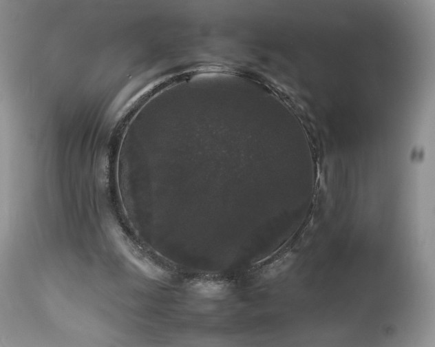 X0000112830247200908211223