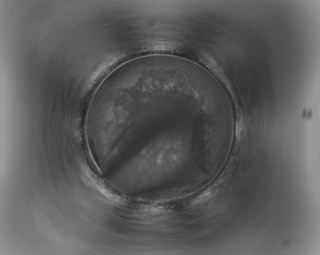 X0000112830249200908211223