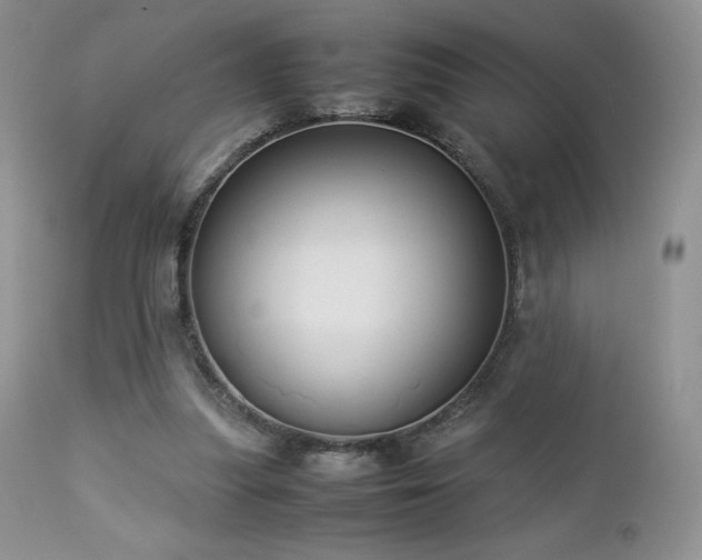 X0000112830251200908211223