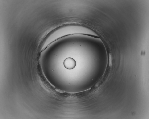 X0000112830252200908211223