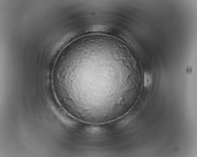 X0000112830253200908211223