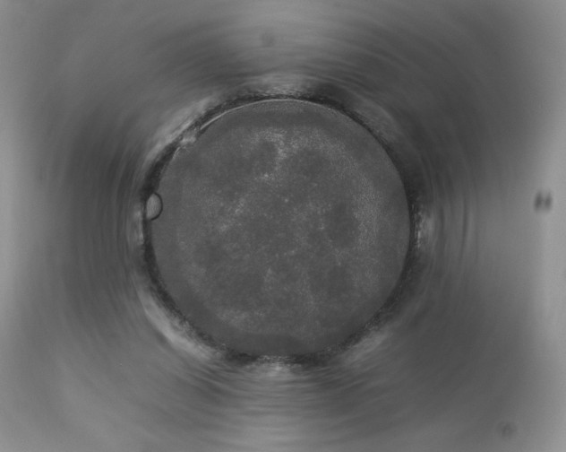 X0000112830254200908211223