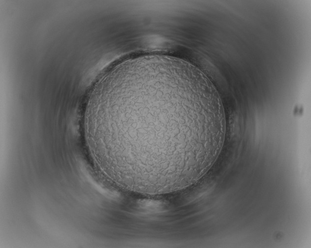 X0000112830255200908211223