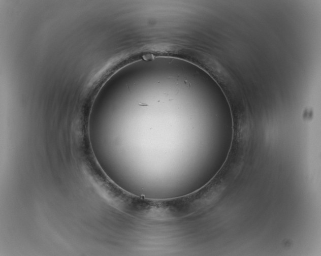 X0000112830256200908211223