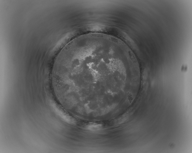 X0000112830257200908211223