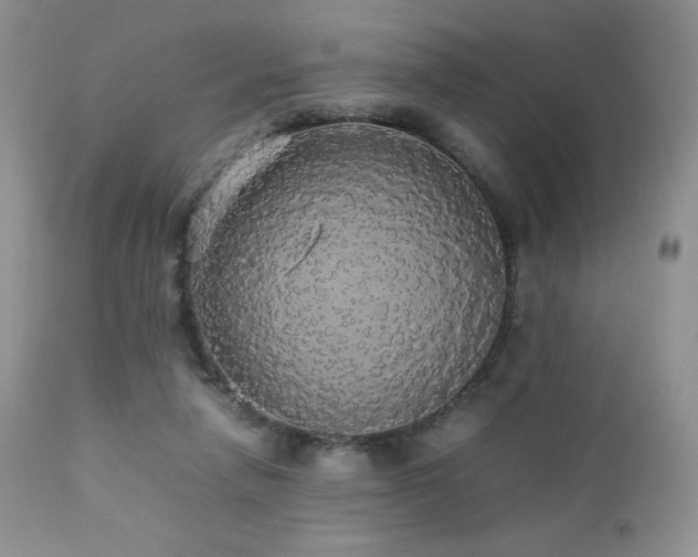 X0000112830258200908211223