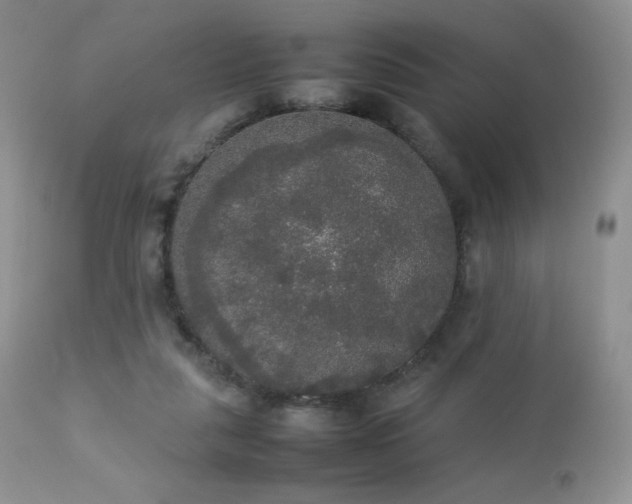 X0000112830259200908211223