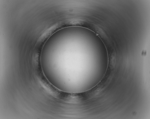 X0000112830260200908211223