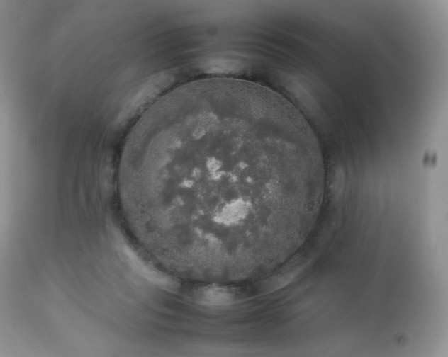 X0000112830261200908211223