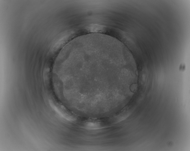 X0000112830263200908211223