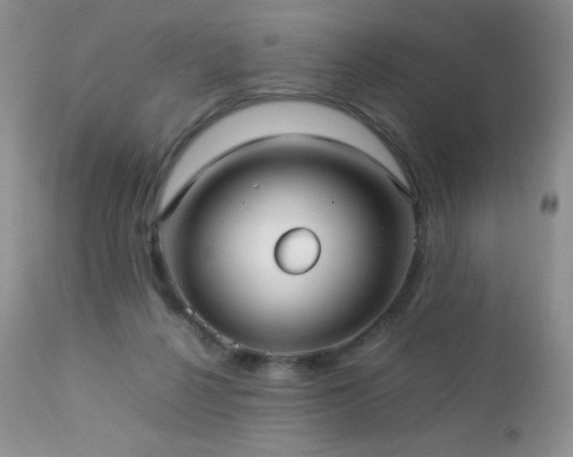 X0000112830264200908211223