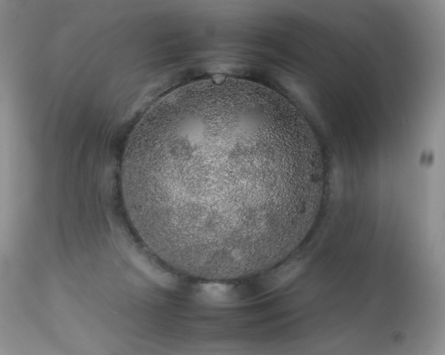 X0000112830265200908211223