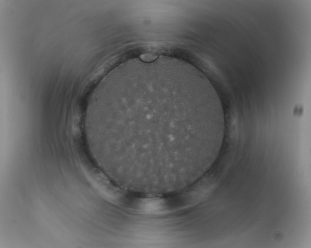 X0000112830266200908211223