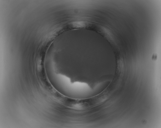 X0000112830267200908211223