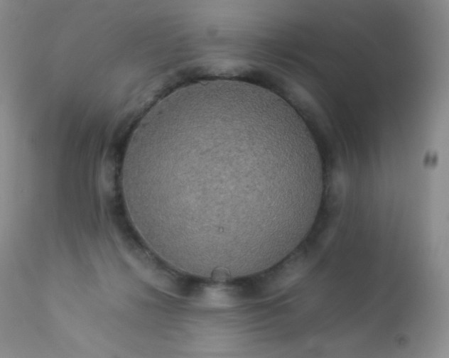 X0000112830268200908211223