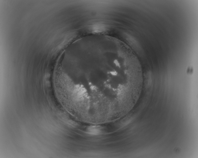 X0000112830269200908211223