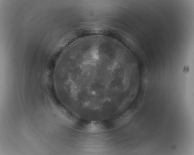 X0000112830270200908211223